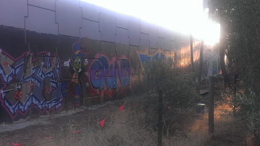 Southern Expressway Graffiti Extension