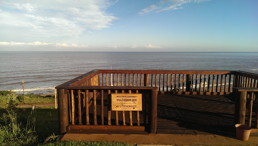 Whale Viewing Deck