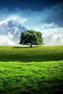 How to download Test Application w49 - 01 1.0.0 mod apk for android