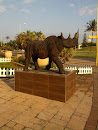 Pavilion Rhino