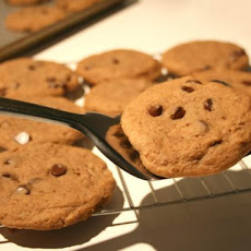 Malted Milk Cookies