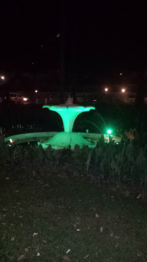 Fountain at the Kandy Market