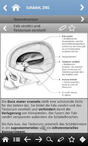 【免費醫療App】Anatomie pocket-APP點子