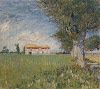 Farmhouse in a wheatfield