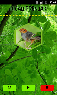 How to install Cisticola 1.1 mod apk for bluestacks