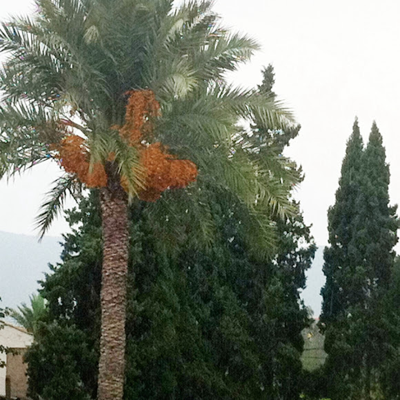 Spotting Image 1
