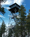 Gentry Fire Lookout Tower