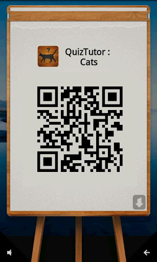 【免費街機App】QuizTutor：貓-APP點子