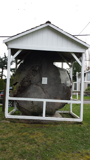 Coupeville City Park Tree Slab