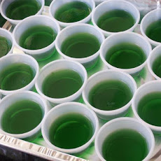 Amaretto Sour Jello Shots