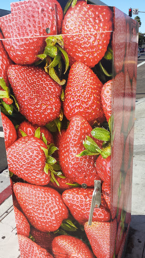 Strawberry Box on Vermont