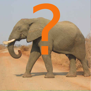 The Animal Quiz.apk 1.2