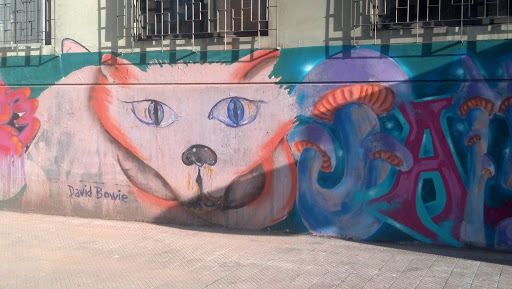 Perro Bowie Mural