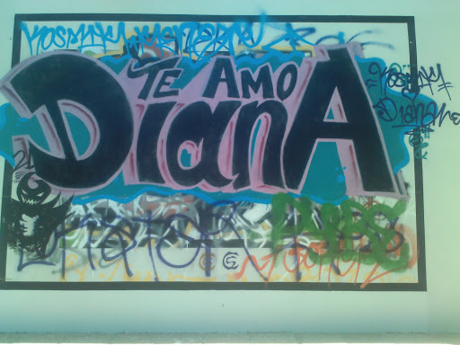 Graffiti Te Amo Diana. 