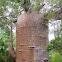 Baobab