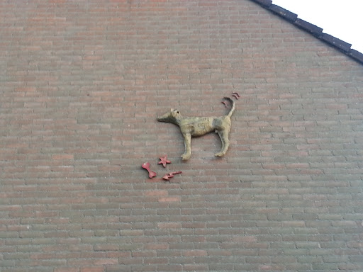 Red Dog on a Wall