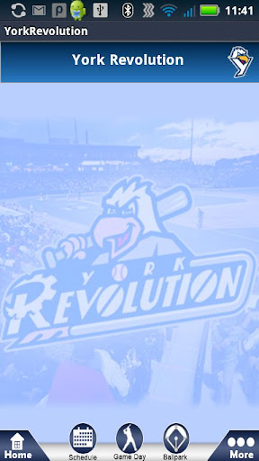 York Revolution