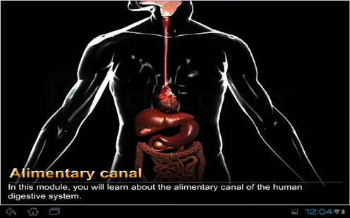 How to get Human Digestive System 1.0.0 unlimited apk for pc