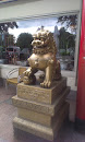 Chinese Leeuw
