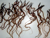Vendo Extensiones