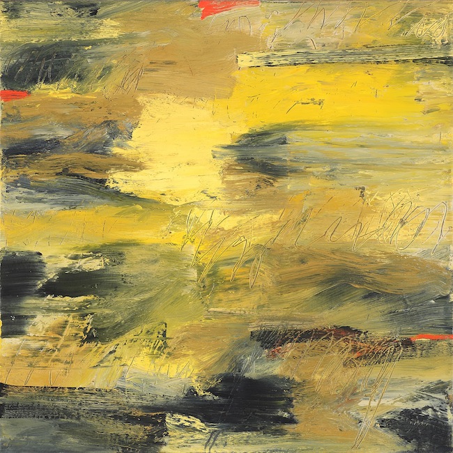 <p>
	<strong>Field Notes VI</strong><br />
	Oil on canvas<br />
	20&rdquo; x 20&rdquo;<br />
	2012<br />
	Corporate collection, Vancouver</p>
