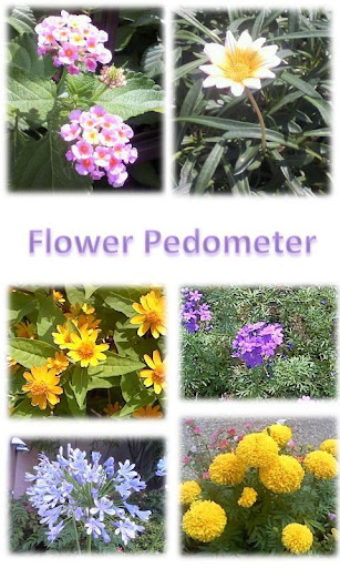 Flower Pedometer