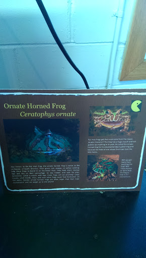 Horned Frog Exhibit