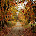 Fall