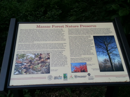 Massac Forest Nature Preserve