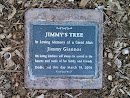 Jimmy's Tree
