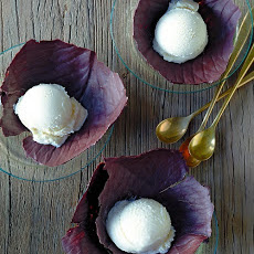 Chocolate Cabbage Leaves with Vanilla Ice Cream