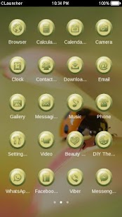 How to download Cute Ladybug C Launcher Theme lastet apk for android