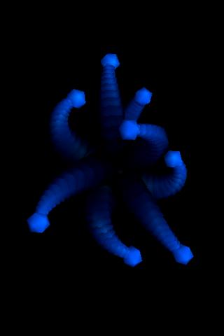 Octopus OpenGL demo