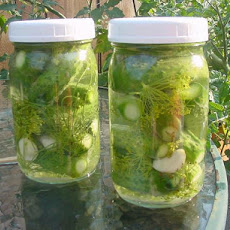 Solar Dill Pickles