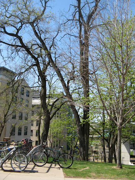 Spotting Image 1