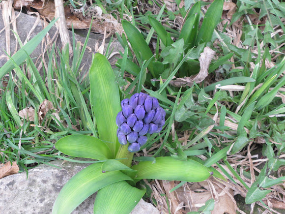 Spotting Image 1