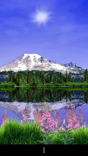 Mount Rainier Free