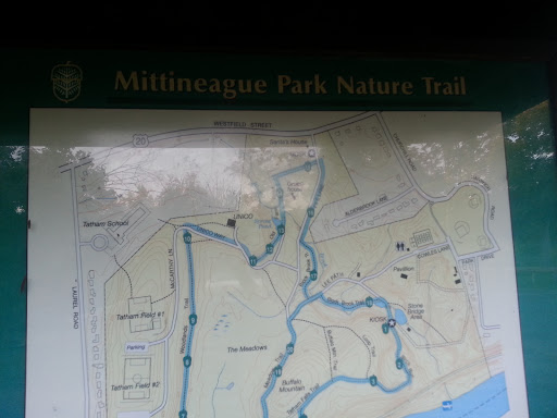 Mittineague Park Nature Trail