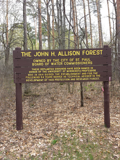 The John H. Allison Forest