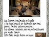Regalo Cachorros Abandonados