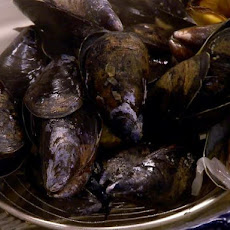 Steamed Mussels
