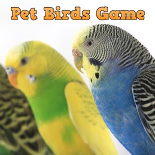 How to mod Pet Birds Game 1.0 unlimited apk for bluestacks