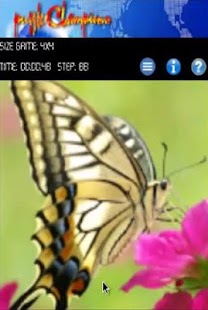 How to download Puzzle Champions 1.3 apk for pc