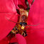 Orange Wasp