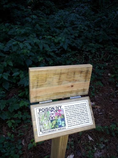 Plant Trail - Poison Ivy