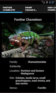 How to mod Chameleons patch 3 apk for pc