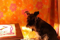 Light Table