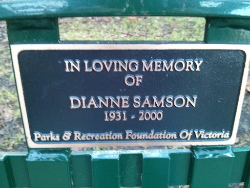 Memory of Samson