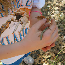 BioBlitz! Oklahoma