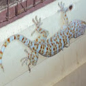 Leopard Gecko, Tokey, Cicak,